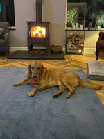 Kiln Dried Birch Logs (Economy Crate) + Free Kindling (Copy)