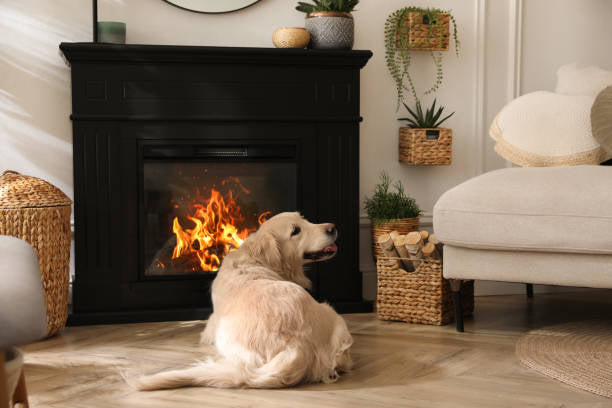 Kiln Dried Birch Logs (Large Crate) + Free Kindling