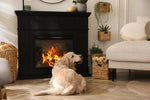 Kiln Dried Birch Logs (Large Crate) + Free Kindling