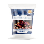 Anthracite Small Nuts 20kg x 50 Bags (1,000kg)