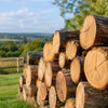 Hardwood Logs for Sale Near Me in the UK